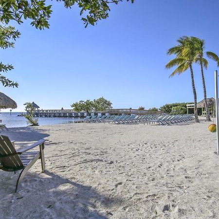 Vitamin Sea Tavernier Ngoại thất bức ảnh